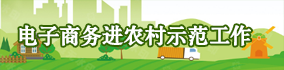 電子商務(wù)進農(nóng)村示范工作